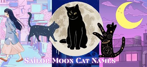 black anime cat names|sailor moons cats names.